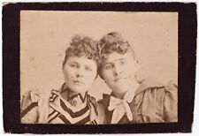 ANTIQUE SMALL WALLET PHOTO CDV C. 1880s TWO GORGEOUS YOUNG LADIES GAY INTEREST picture