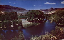Reno Nevada Truckee River mountains scenic unused vintage postcard picture