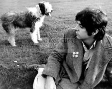 PAUL McCARTNEY WITH HIS BELOVED ENGLISH SHEEPDOG 