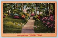 Fischer Texas TX Postcard Greetings Path Walk Trees Scenic View c1940's Vintage picture
