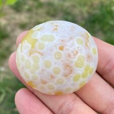 60g Natural Mongolia Gobi Agate Eyes Agate Stone Collection Specimen picture