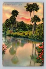 FL-Florida, Tropical Beauty, Antique, Vintage c1941 Souvenir Postcard picture