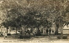RPPC El Verano CA, People Under Trees at El Verano Villa, 1910 DPO 4 Emmaton CA picture