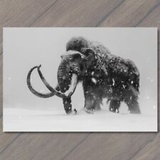 POSTCARD Woolly Mammoth Extinct Elephant Snowy Weird Vibe Strange Unusual Creepy picture
