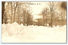 c1920's Otto Hillig Snow Winter Street Scene Liberty NY RPPC Photo Postcard picture