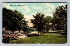 Omaha NE-Nebraska, Bemis Park, Vintage Postcard picture