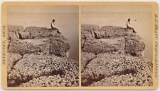 OHIO SV - Kelleys Island - Honeycomb Rock - AC Platt 1880s picture