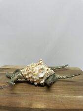 Lambis Chiragra Spider Conch Sea Shell w/ Silverplate Overlay 9x6x3” picture