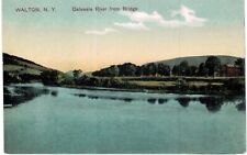 Walton Delaware River From Bridge 1910  NY  picture