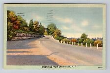 Springville NY-New York, General Greetings, Country Road, c1944 Vintage Postcard picture