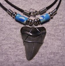 MEGALODON SHARK TOOTH NECKLACE 1 3/8