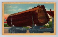 OR-Oregon, Giant Log En Route to Mill, Antique Vintage Souvenir History Postcard picture