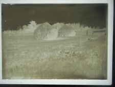 9 lg Glass Negatives of People, Cows, Homes, Rowley, Mass C. 1990-1910 picture