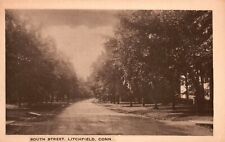Vintage Postcard South Street Residential Houses View Litchfield Connecticut CT picture