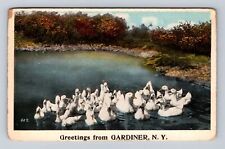 Gardiner NY-New York, General Greetings Swans, Antique, Vintage c1919 Postcard picture
