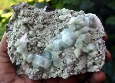 APOPHYLLITE On HEULANDITE Matrix Minerals M-3.24 picture