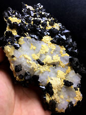 871g Natural skeletal Elestial BLACK QUARTZ Crystal &Fluorite Two-sided   A983 picture