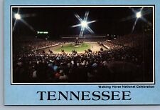 Postcard Vtg Tennessee Walking Horse Celebration Shelbyville 4x6 picture