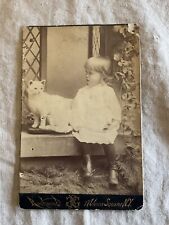 Antique Cabinet Photo of White Cat And Child, Taxidermy Photo, Unusual, NY picture