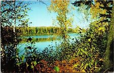 Greetings Westport Ontario Canada Forest Lake Reflection CCS63 UNP Postcard picture