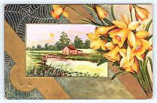 1913 Antique Health Happiness Wealth Postcard Horse Shoe Daffodils Posted A27 picture