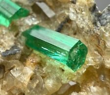 49 Gram Extraordinary😱 Top Green Panjshir Emerald Gemmy Crystals On Matrix @Afg picture