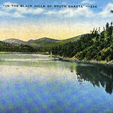 Vintage Sheridan Lake Hill City, SD Postcard South Dakota Black Hills Post 1952 picture