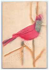 1907 Hearty Greetings Bird Airbrushed Embossed Quincy Illinois IL Postcard picture