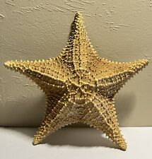 Vintage Genuine Dried Starfish Giant 11” Real Ochre Sea Star picture