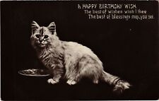 CPA AK A Happy Birthday Wish CATS (1340863) picture