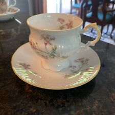 Vintage Hedgerow Elizabethan Staffordshire Fine Bone China Teacup With Saucer. picture