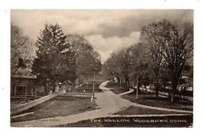 WOODBURY, CT ~ STREET VIEW IN THE HOLLOW, BUILDINGS, ALBERTYPE PUB ~ used 1912 picture
