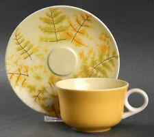 Mikasa Wild Blossoms Cup & Saucer 401435 picture