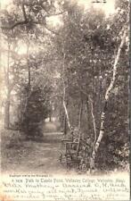 1906, Path to Tupelo Point, Wellesley College, WELLESLEY, Massachusetts Postcard picture