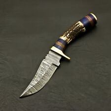 CUSTOM  HAND FORGED DAMASCUS HUNTING/SKINNING KNIFE-STAG HORN /ANTLER KNIFE picture