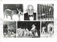 1979 Press Photo Five Scenes from Ringling Bros. Circus Performances - afa51315 picture