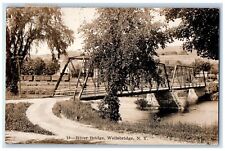 1910 River Bridge Wellsbridge New York NY Phelps Antique RPPC Photo Postcard picture
