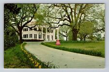 Natchez MS-Mississippi, D'Evereux Scenic View, Vintage Souvenir Postcard picture