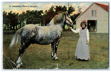 1911 Woman Holding White Horse A Canadian Heavy-Weight Posted Antique Postcard picture