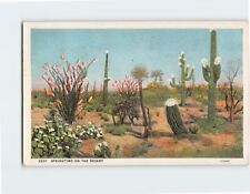 Postcard Springtime on the Desert USA North America picture