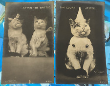 Vintage Cat Kitties Postcard Pair Rotograph 1906 B834 & B1252 picture