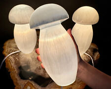 Selenite Mushroom Lamp, LARGE Natural Selenite Crystal Lamps (Selenite Lamp) picture