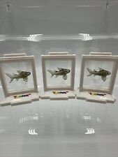 Tynies Handmade Glass Figurines With Collector's Frame Shark (3 Pieces)-New picture