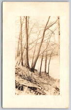 Wooded Hill In the Fall Dirt Path Real Photo Postcard RPPC picture
