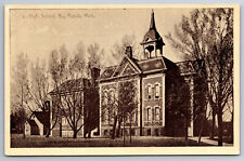 Vintage Postcard MI Big Rapids High School Street View ~7945 picture