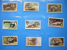 FULL SET 48 1938 GALLAHER LIMITED VIRGINIA HOUSE WILD ANIMALS CARDS 48/48 NICE picture