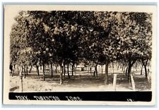 1912 View Of Park And Trees Thornton Iowa IA RPPC Photo Posted Antique Postcard picture