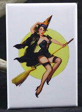Sexy Witch Pinup Girl 2