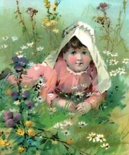 1890s McLaughlin's XXXX Coffee Adorable Girl In Field Of Flowers #5K picture
