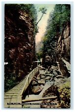 c1910s The Flume, Franconia Notch, White Mountains New Hampshire NH Postcard picture